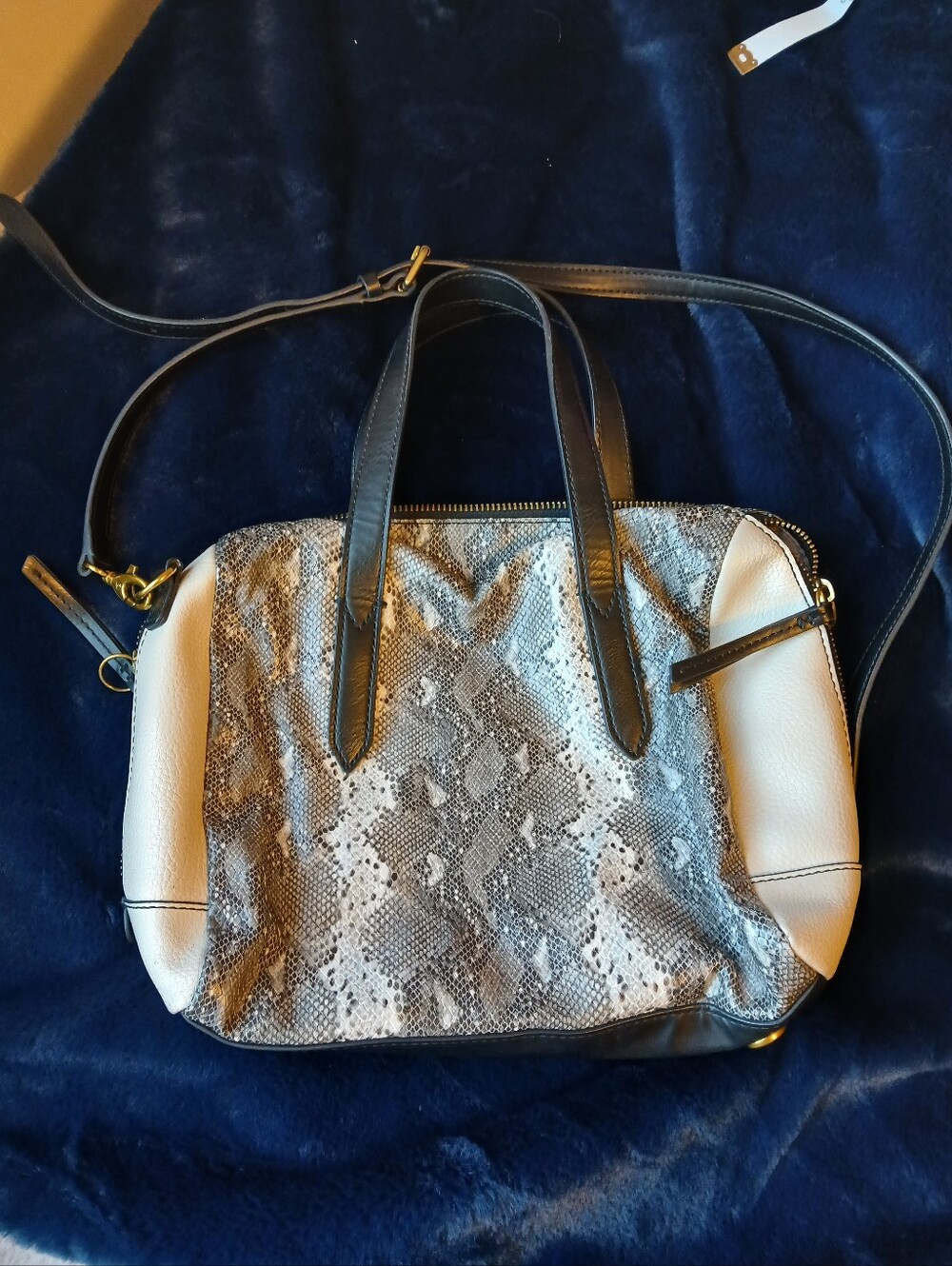 Fossil Sydney Crossbody Satchel Python Detachable Strap